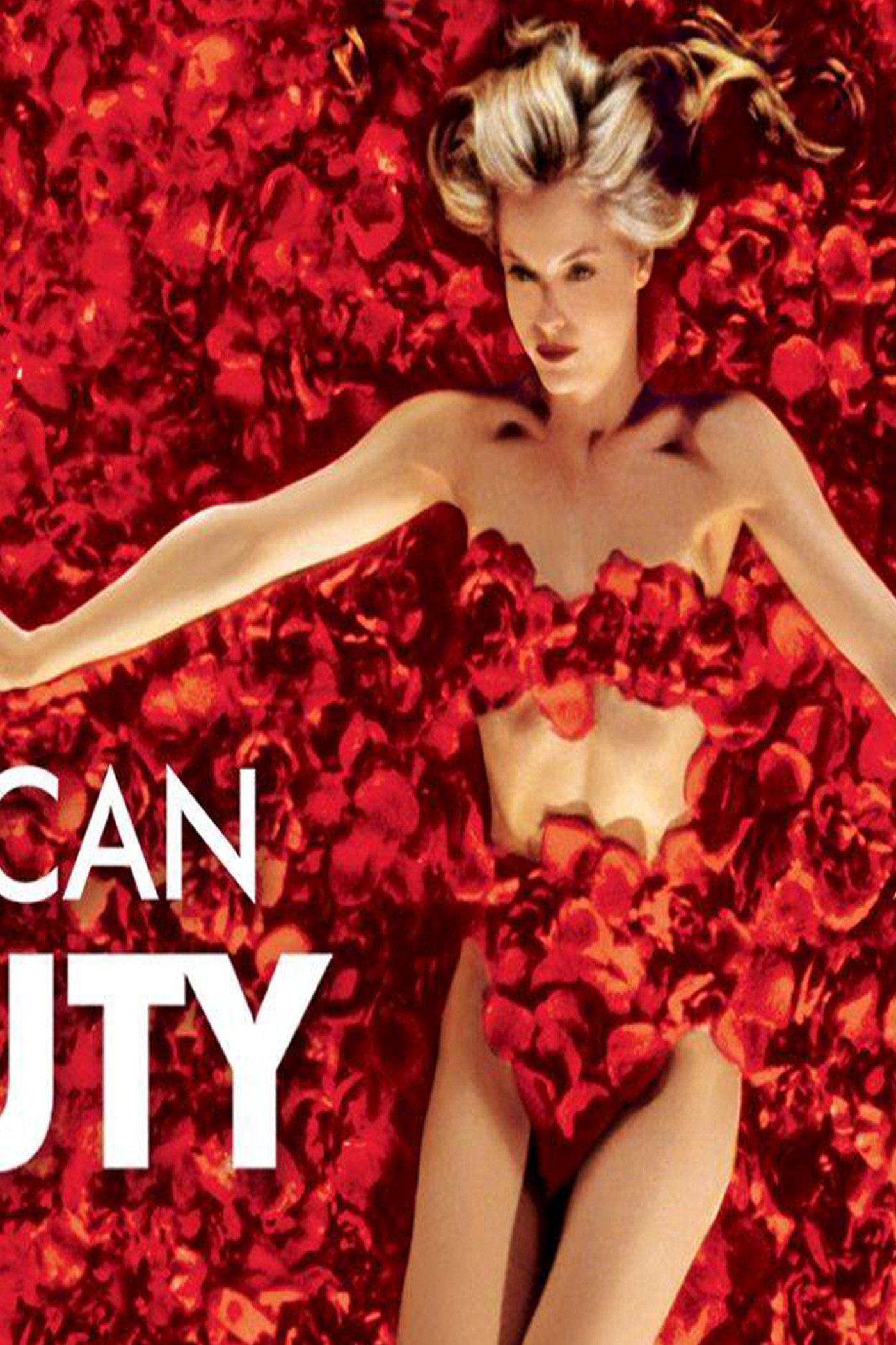 American Beauty